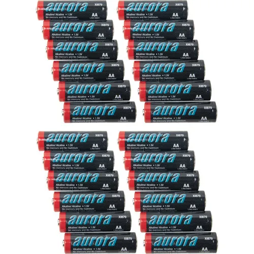 Alkaline Batteries, Box of 24