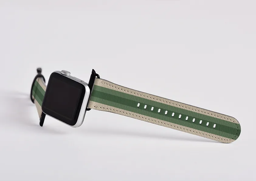 Apple Watch Strap- Hong Kong Chroma Stripe