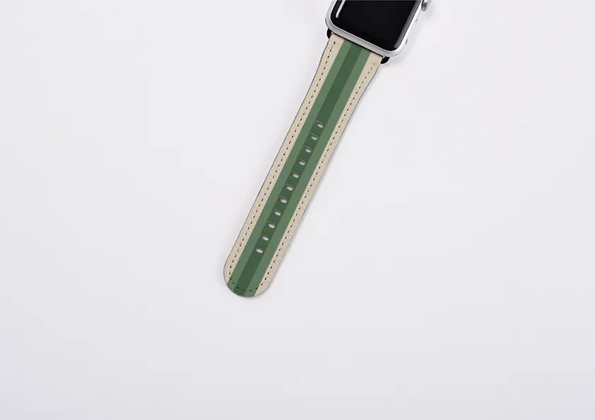 Apple Watch Strap- Hong Kong Chroma Stripe