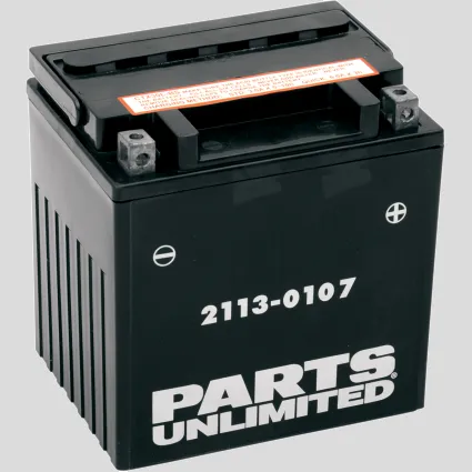 Battery YTX30L-BS