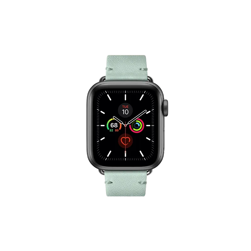 Classic Strap for Apple Watch (38 / 40 / 41mm)