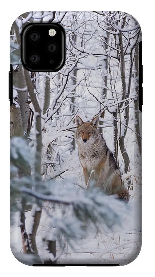 Coyote In The Aspens - Phone Case