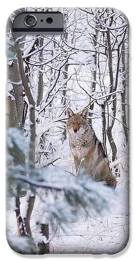 Coyote In The Aspens - Phone Case