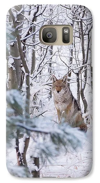 Coyote In The Aspens - Phone Case