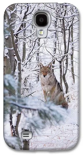 Coyote In The Aspens - Phone Case