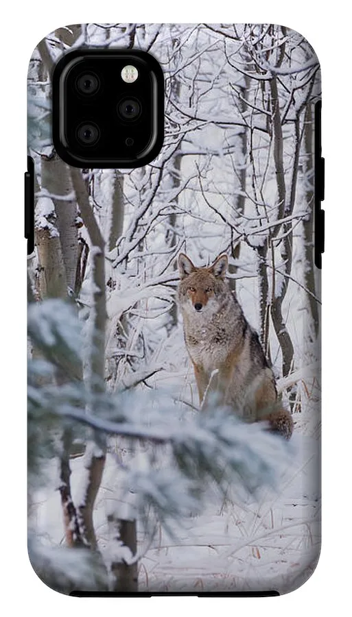 Coyote In The Aspens - Phone Case