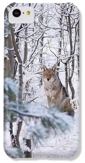 Coyote In The Aspens - Phone Case