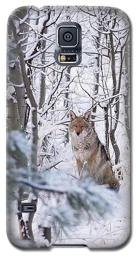 Coyote In The Aspens - Phone Case