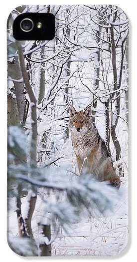 Coyote In The Aspens - Phone Case