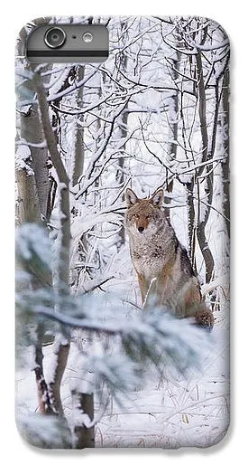 Coyote In The Aspens - Phone Case