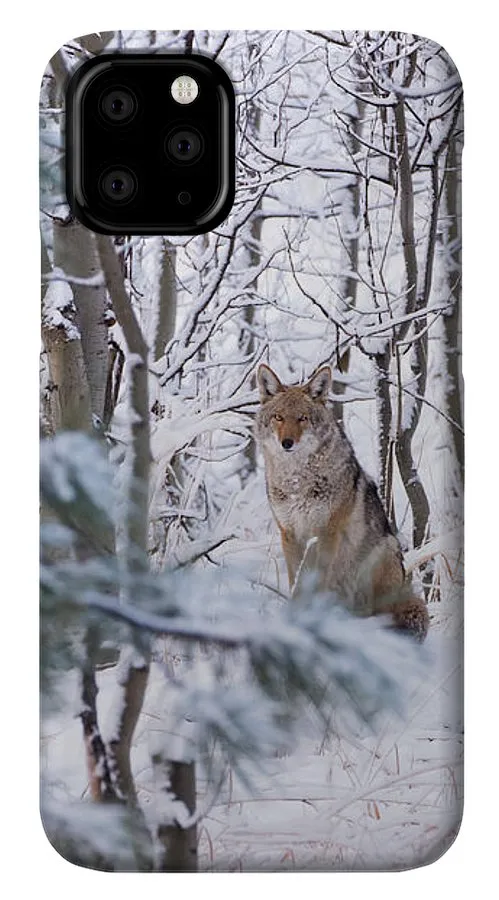 Coyote In The Aspens - Phone Case