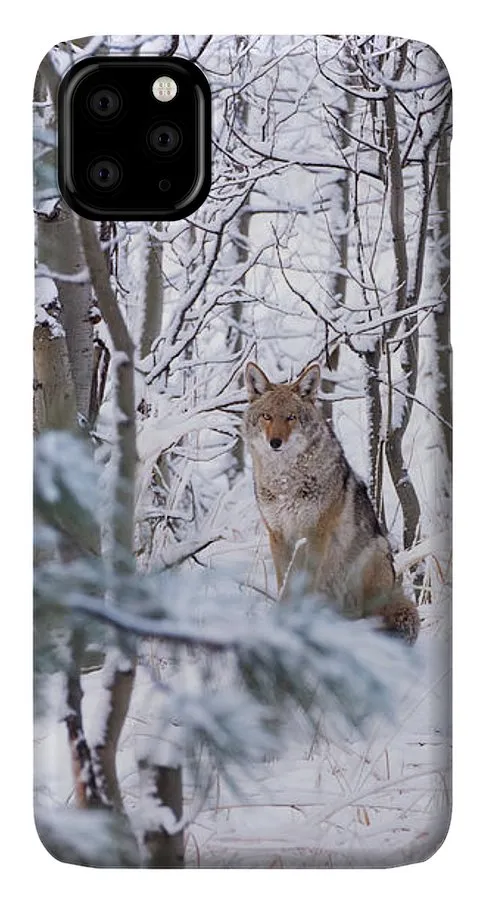 Coyote In The Aspens - Phone Case