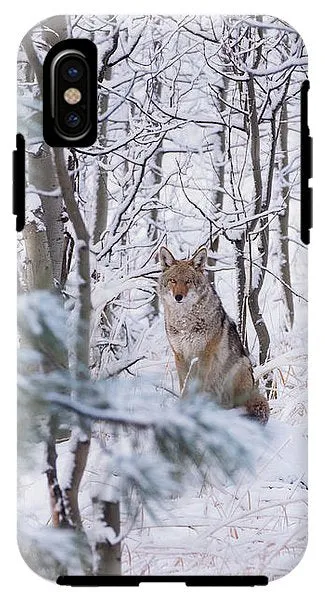 Coyote In The Aspens - Phone Case