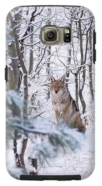 Coyote In The Aspens - Phone Case