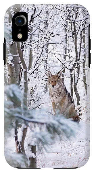 Coyote In The Aspens - Phone Case