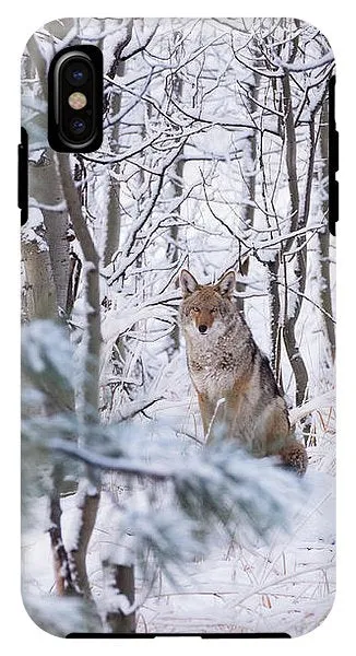 Coyote In The Aspens - Phone Case