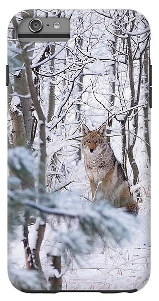 Coyote In The Aspens - Phone Case