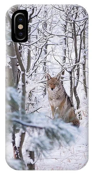 Coyote In The Aspens - Phone Case