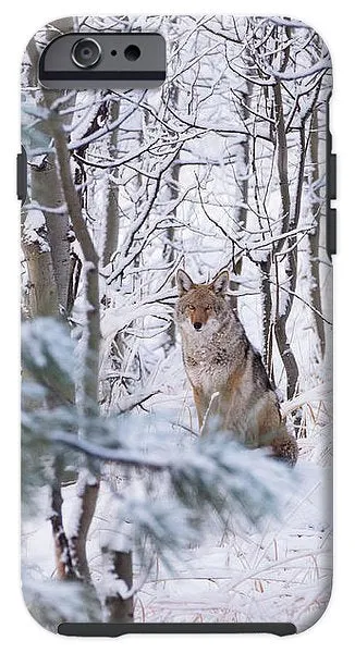 Coyote In The Aspens - Phone Case