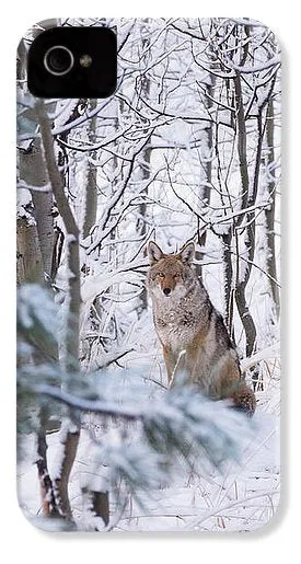 Coyote In The Aspens - Phone Case