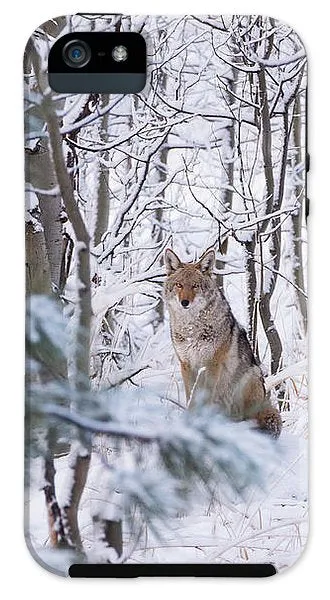 Coyote In The Aspens - Phone Case