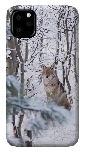 Coyote In The Aspens - Phone Case