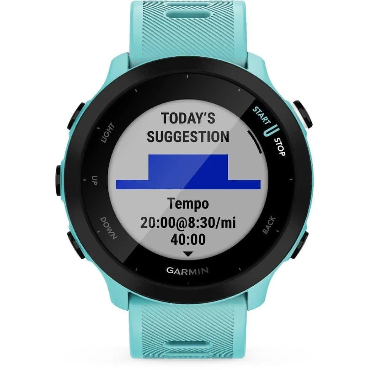 Garmin Forerunner 55 HRM With GPS Watch