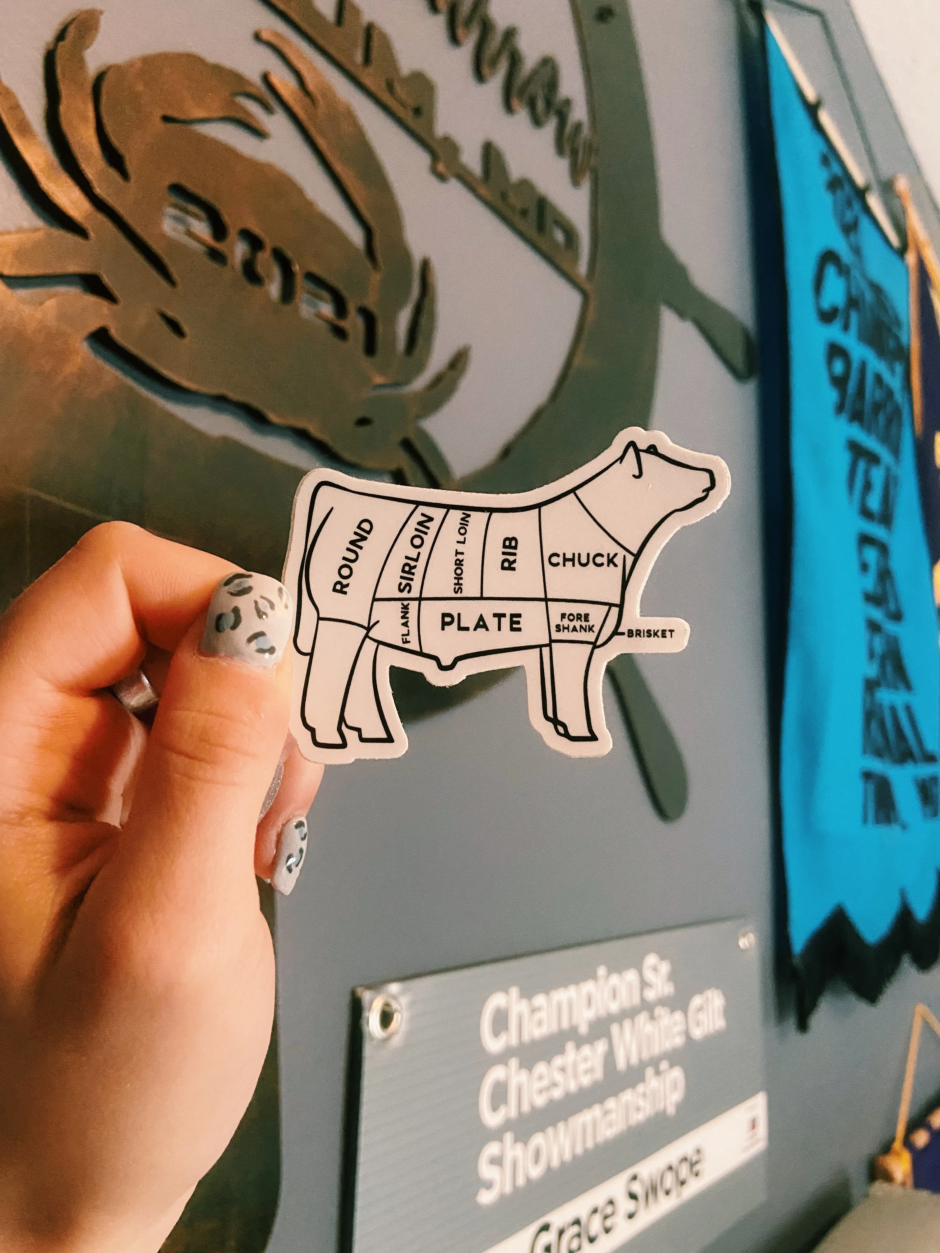 Meat Cut Livestock Stickers