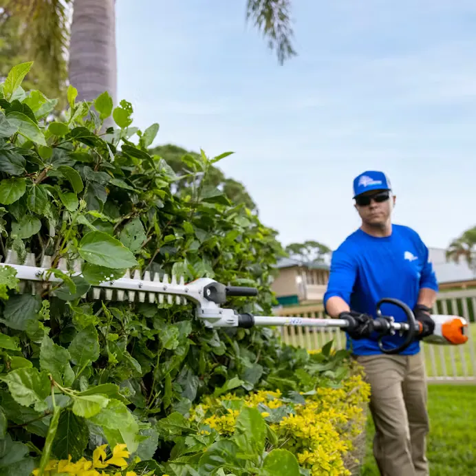 Stihl | HLA 135 (145º) Battery Pole Hedge Trimmer | w/ AP 300 S battery & AL 301 charger (HLA135-AP300S-AL301-COMBO)